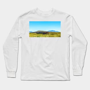 Union Pacific freight in New Mexico Long Sleeve T-Shirt